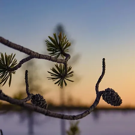 Village Majatalo Gasthof 3*