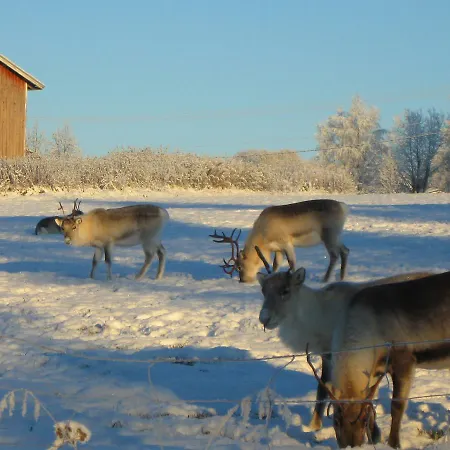 Village Majatalo Мини-отель 3*