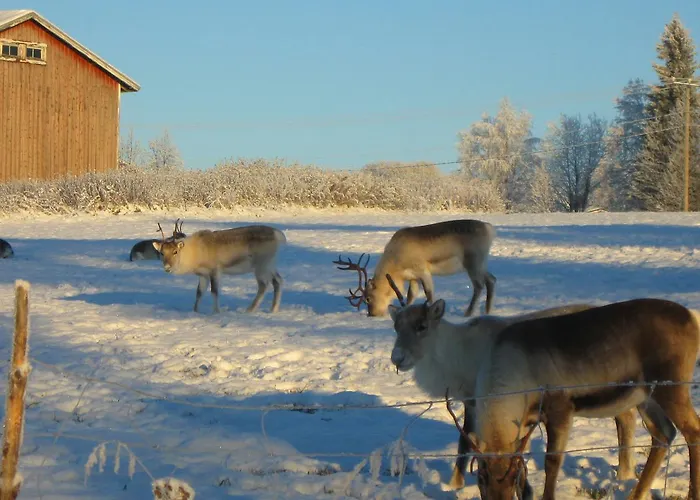 Village Majatalo אורחן 3*